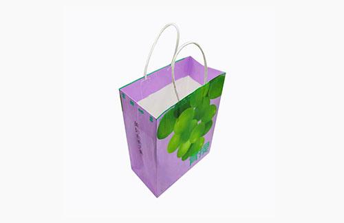 Printed paper shopping bags