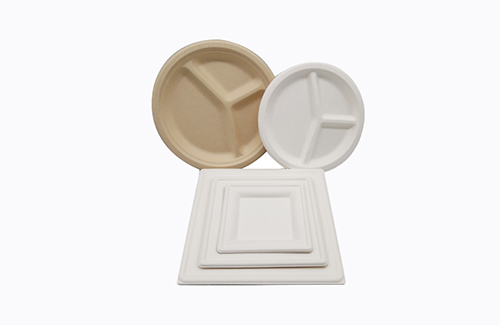 Bagasse molded trays for foods and commodities